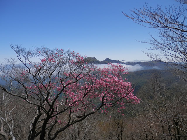 石鎚山系からの眺望