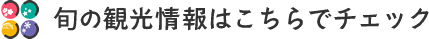 旬の観光情報はこちらでチェック