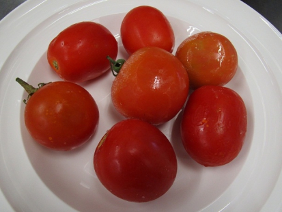 ローマＶＦ　加工用トマト